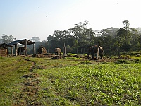 Elephant Stables in Sauraha.
